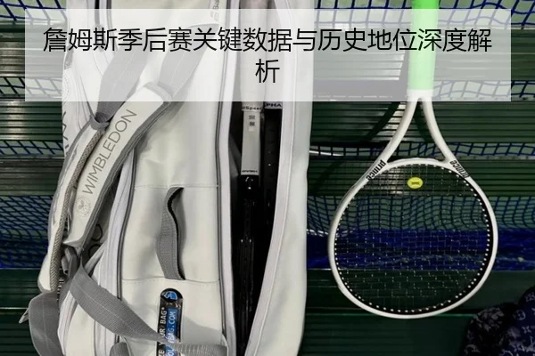 詹姆斯季后赛关键数据与历史地位深度解析